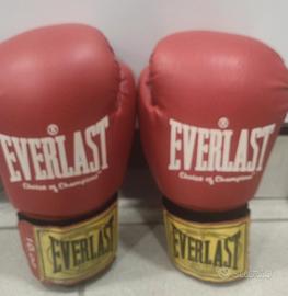 guantoni boxe everlast