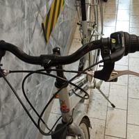 Biclicletta  Donna  RALEIGH  MANHATTAN