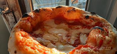 Pizzaiolo (Napoletana Contemporanea)