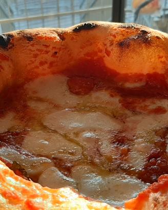 Pizzaiolo (Napoletana Contemporanea)