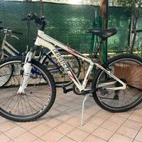 Mountain Bike Eclipse bianca-ammortizzata