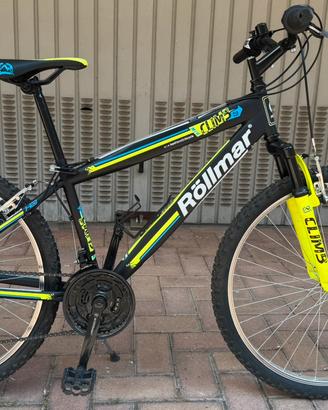 Bici tipo mountain bike
