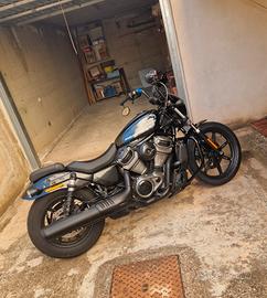 Harley davidson nightster 975 2022 