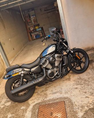 Harley davidson nightster 975 2022 