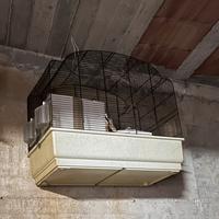 Gabbie con accessori