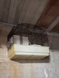 Gabbie con accessori