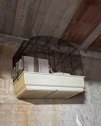 Gabbie con accessori