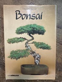 Libro bonsai