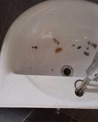 Lavabo