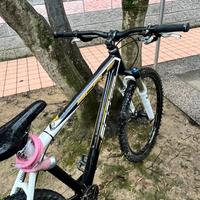 MTB scott in carbonio