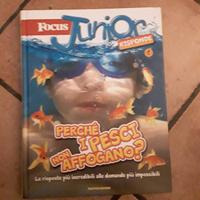 Focus junior