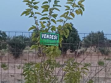 Terreno agricolo 10mila mq
