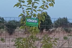 Terreno agricolo 10mila mq