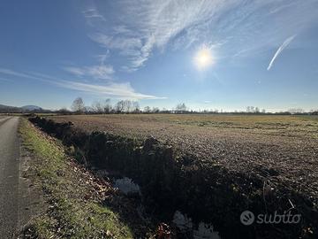 Terreno Agricolo Noventa Vicentina
