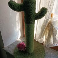 Tira graffi Cactus 