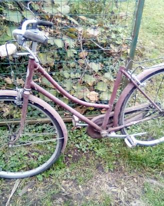 Bicicletta