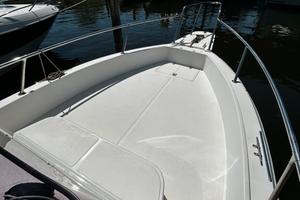 Walk around Zaniboni F23