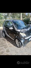 smart  passion