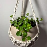 Portavaso appeso a cestino in macramè