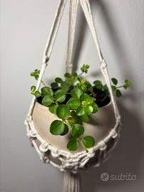 Portavaso appeso a cestino in macramè