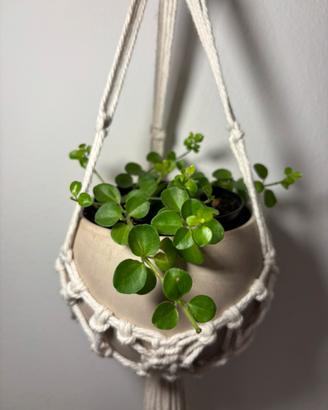 Portavaso appeso a cestino in macramè