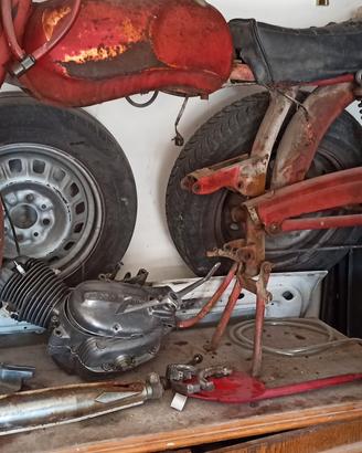 moto Morini Corsarino 