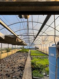 Carrelli per irrigazione ortovivaistica