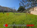terreno-agricolo-taranto-professionecasa55vrg-