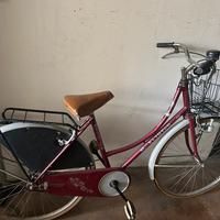 Bicicletta con cestino