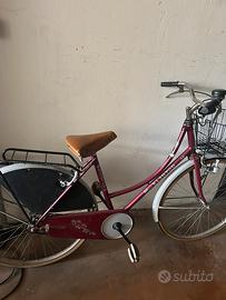 Bicicletta con cestino