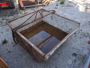 Benna auroscaricxnte detriti