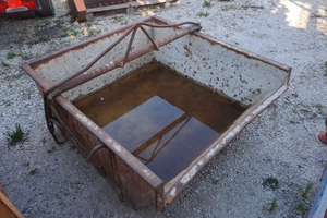 Benna auroscaricxnte detriti