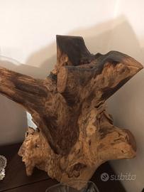 tronco da esposizione 