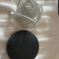Google Nest Home