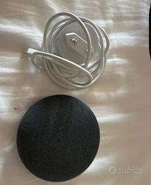 Google Nest Home