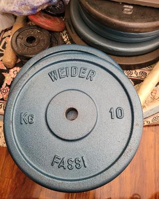 Coppia di dischi in ghisa weider fassi blu