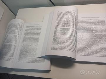 libro diritto costituzionale