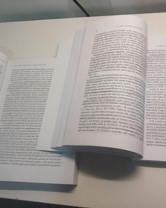 libro diritto costituzionale