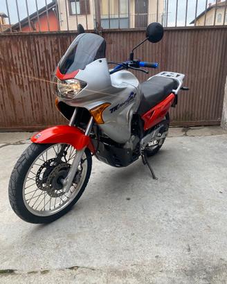 honda transalp 650 2002 ASI