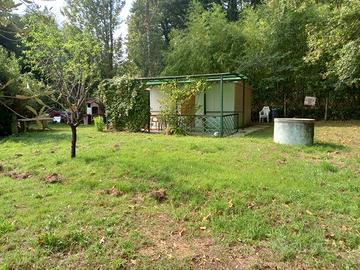 Terreno agricolo recintato