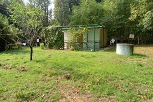 Terreno agricolo recintato