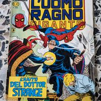 fumetto L'uomo ragno gigante nr.41