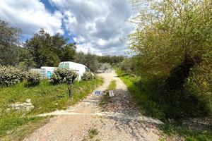 TER. AGRICOLO A PISTOIA