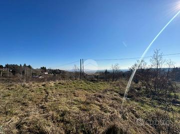 TER. AGRICOLO A RIVOLI