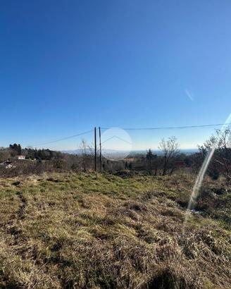 TER. AGRICOLO A RIVOLI