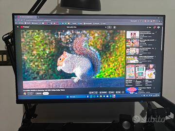 Monitor 24 pollici 100Hz