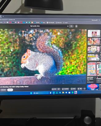 Monitor 24 pollici 100Hz