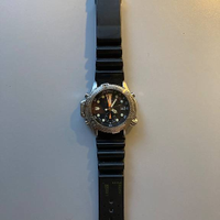 Citizen Promaster Diver Aqualand