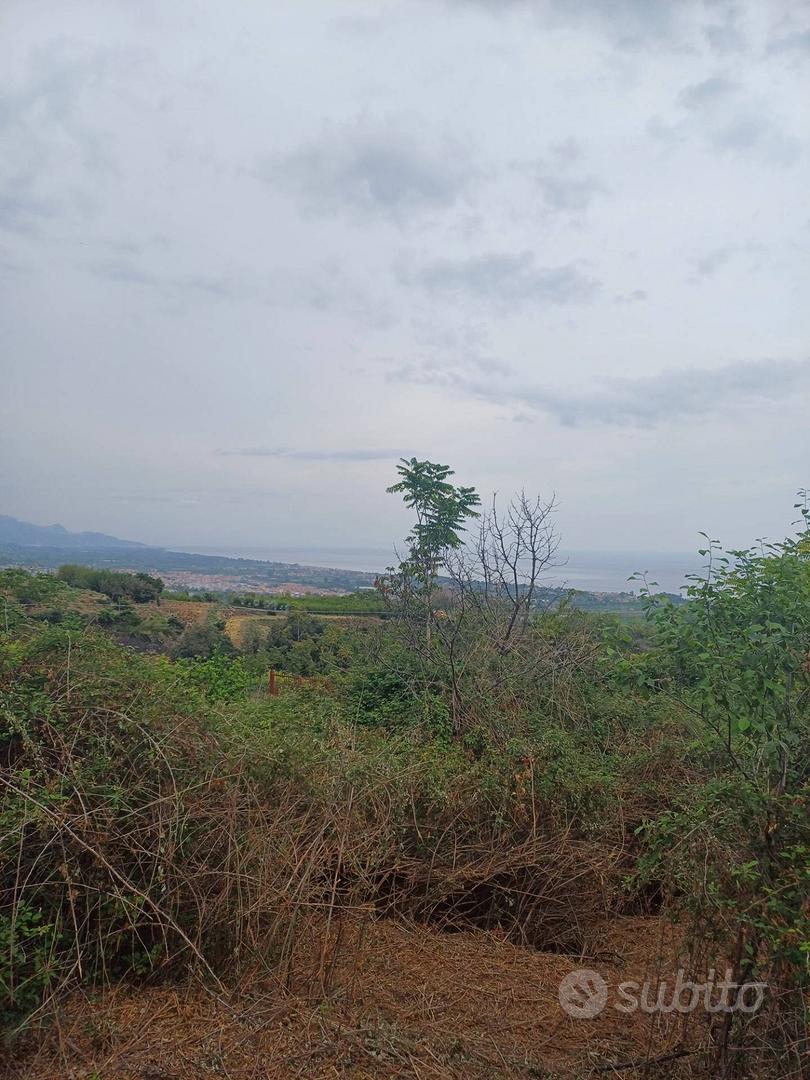Terreno agricolo - Mascali - View 4