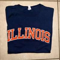 T-shirt Illinois Jerzees